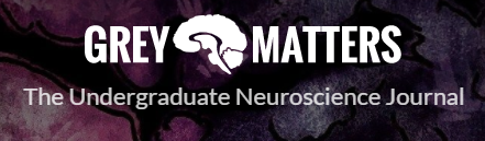 Grey Matters: The Undergraduate Neuroscience Journal